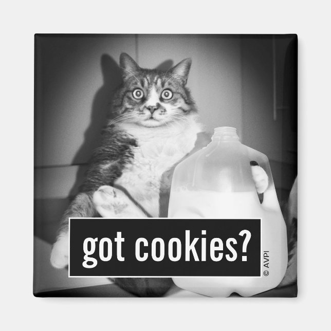 Aimant Chat Boire Du Lait De Jug (Devant)