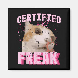 Aimant Chat certifié fou drôle dicton chaton femme fille