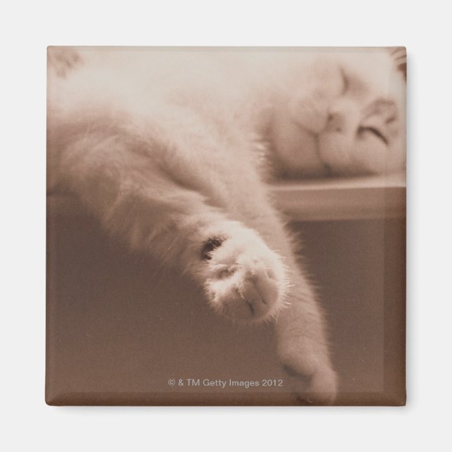 Aimant Chat couché (Devant)