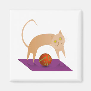 Aimant Chat de cannelle