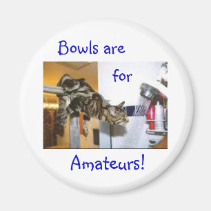 Aimant Chat de douche