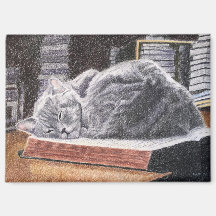 Chat de librairie