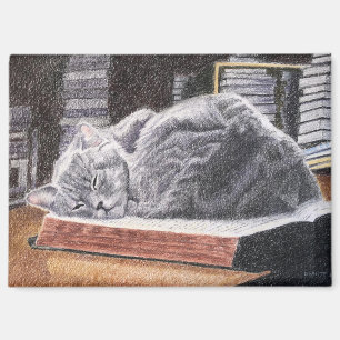 Aimant Chat de librairie