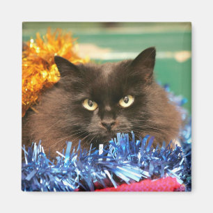 Aimant Chat de Noël