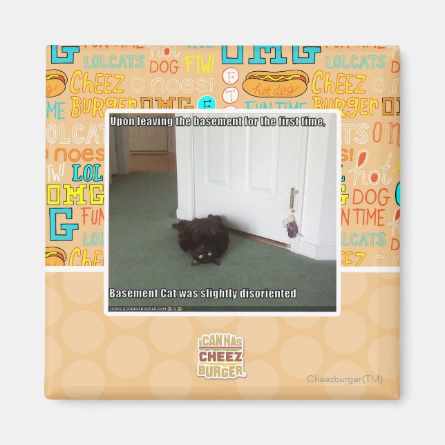 Aimant Chat de sous-sol, légèrement désorienté (Devant)