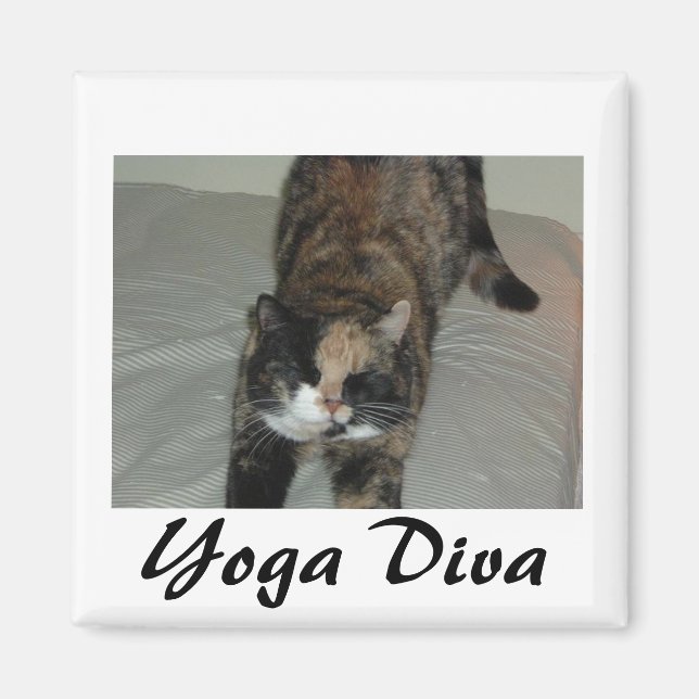 Aimant Chat de Yoga (Devant)