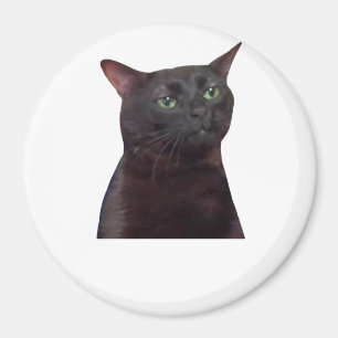 Aimant Chat déconnecté, déconnecté