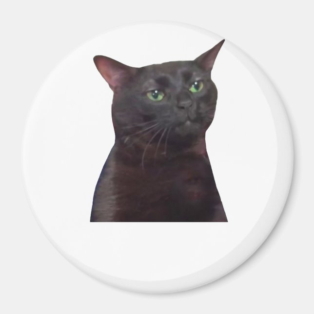 Aimant Chat déconnecté, déconnecté (Devant)