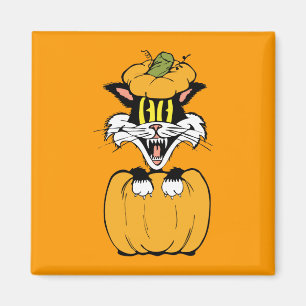 Aimant Chat d'Halloween