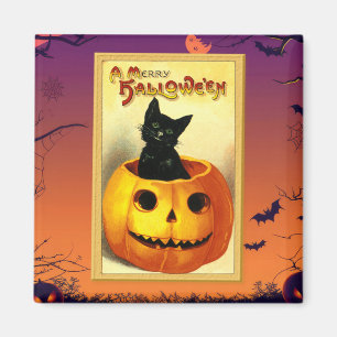 Aimant Chat d'Halloween assis dans une citrouille vintage