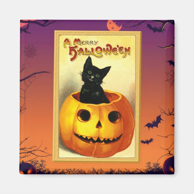 Aimant Chat d'Halloween assis dans une citrouille vintage (Devant)