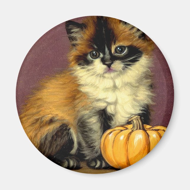 Aimant Chat d'Halloween Ragdoll vintage (Devant)