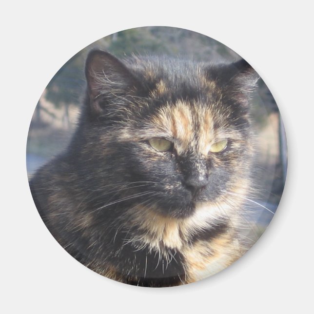 Aimant Chat dignifié (Devant)