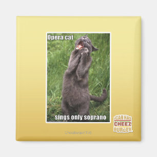 Aimant Chat d'opéra