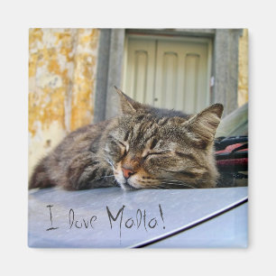 Aimant Chat dormant sur une voiture