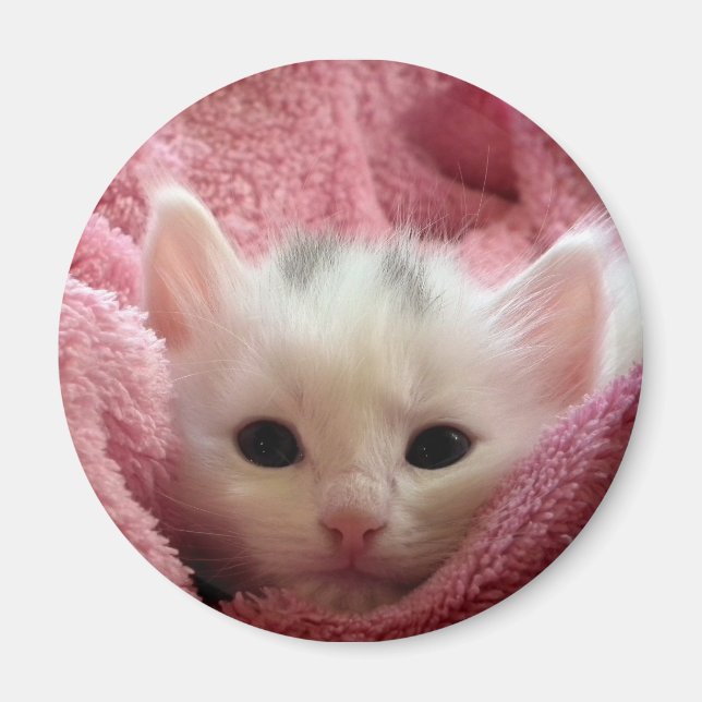 Aimant Chat doux (Devant)