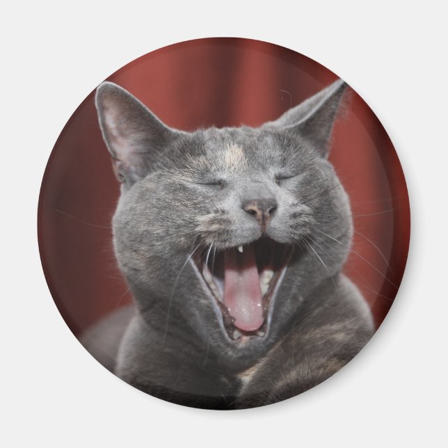 Aimant Chat drôle (Devant)
