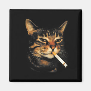 Aimant Chat drôle fumeur Cigarette Chatons Mème Stupide C