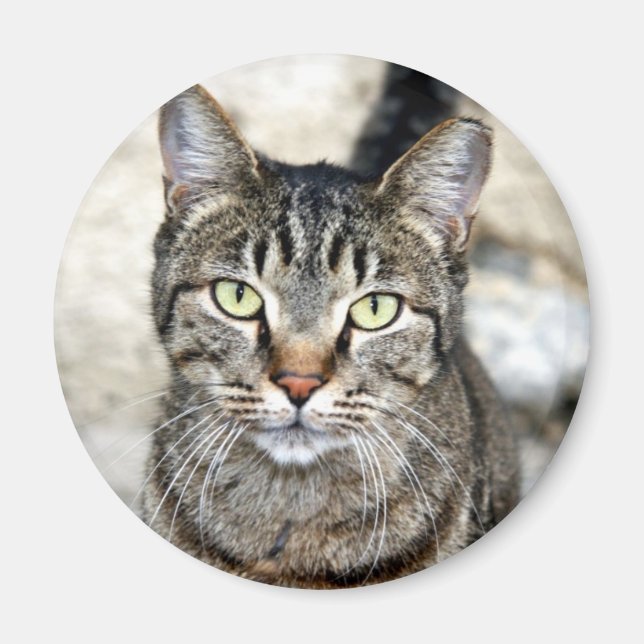 Aimant Chat égyptien (Devant)