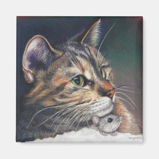 aimant chat et souris