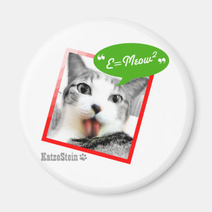 Aimant chat futé