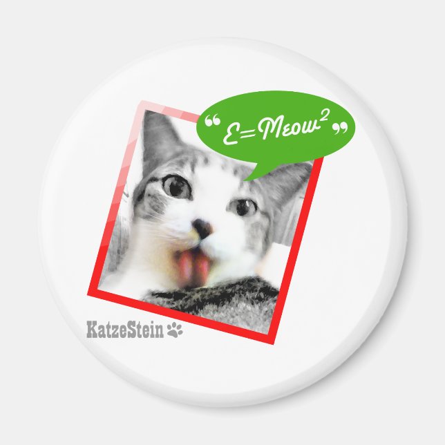 Aimant chat futé (Devant)
