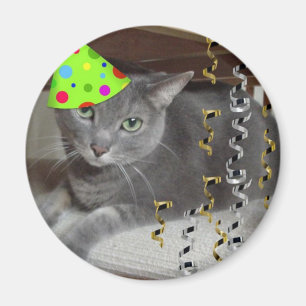 Aimant Chat gris animal de fête