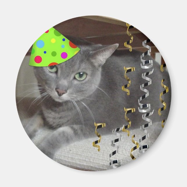 Aimant Chat gris animal de fête (Devant)