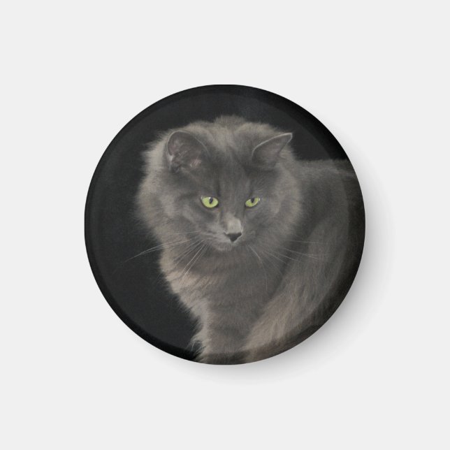 Aimant Chat gris Long Cheveux Russe Bleu Kitty Kitten Mig (Devant)
