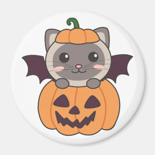 Aimant Chat Halloween Citrouille Chat costume chauve