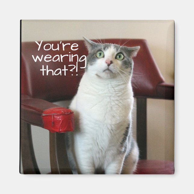 Aimant Chat Horrifié (Devant)