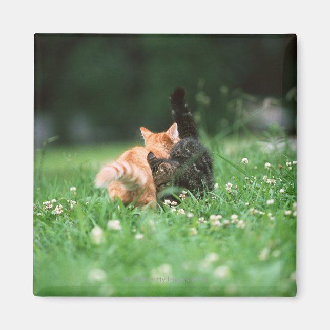 Aimant Chat japonais 4 (Devant)