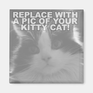 Aimant Chat Kitty personnalisé