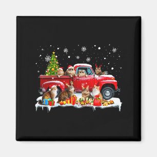 Aimant Chat Maine Coon camion rouge arbre de Noël Père No