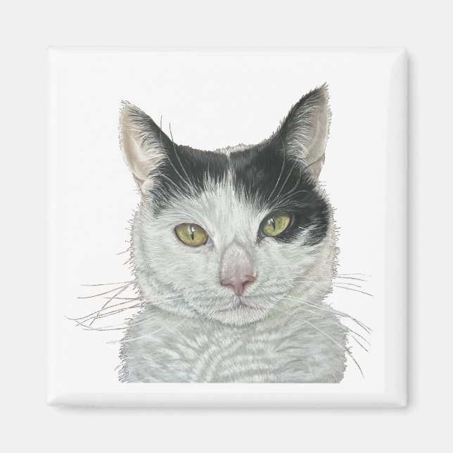 Aimant Chat mignon (Devant)