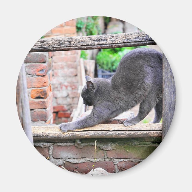 Aimant Chat mignon qui s'étire (Devant)