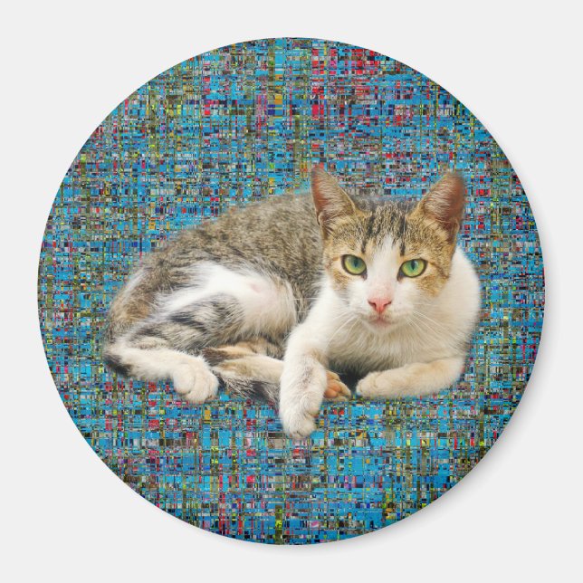 Aimant Chat mignon sur arrière - plan abstrait (Devant)