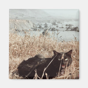 Aimant Chat noir de plage