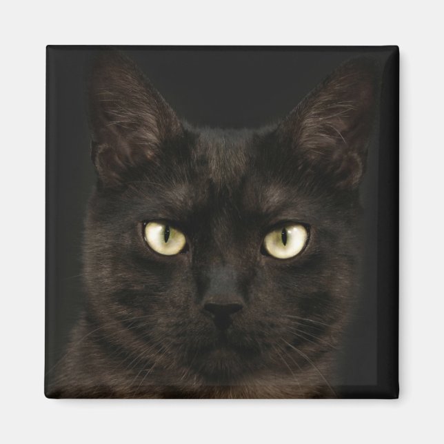 Aimant chat noir éffrayant (Devant)