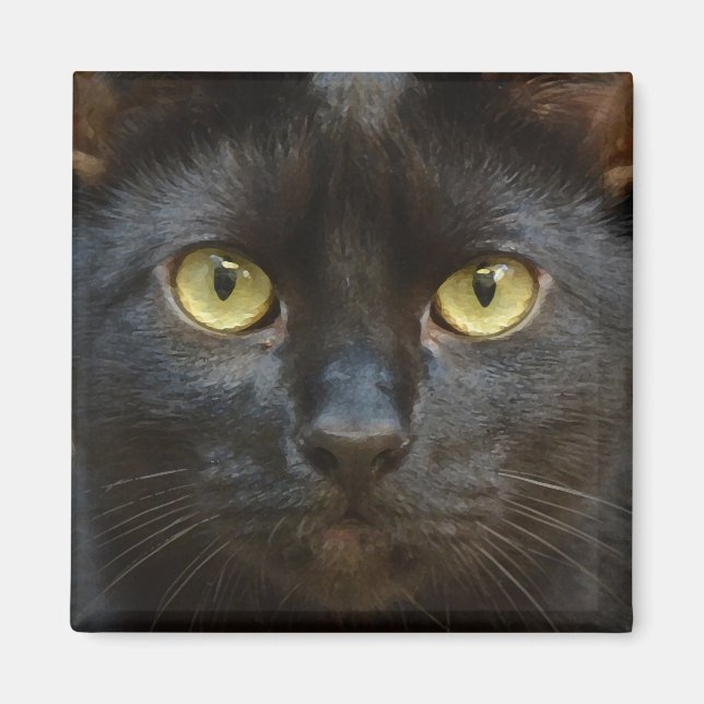 Aimant chat noir éffrayant (Devant)
