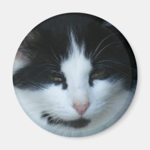 Aimant Chat noir et blanc de Kitty