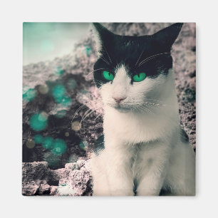 Aimant Chat Noir Et Blanc Yeux Vert Assis À Voir