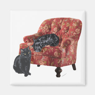 Aimant Chat noir et terrier écossais dans un fauteuil rou