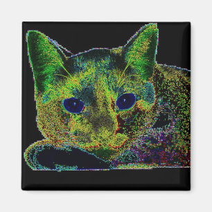 Aimant Chat observé par bleu au néon