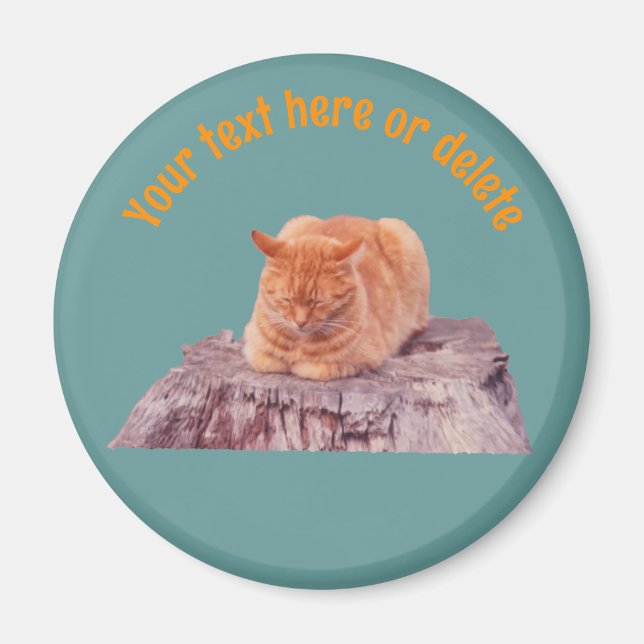 Aimant Chat orange tabby endormi personnalisé (Devant)