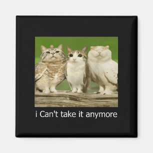 Aimant Chat Owl Drôle Meow Je ne peux plus le prendre