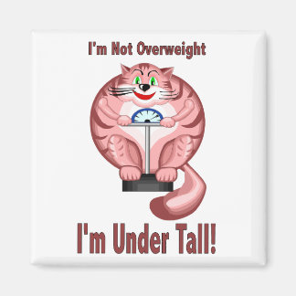 Aimant Chat : Pas De Surpoids