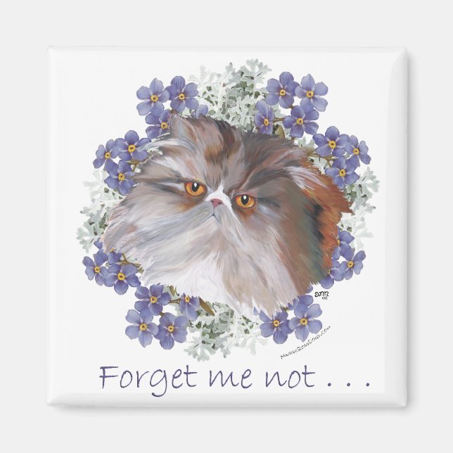 Aimant Chat Persan Calico Forget-Me-Not (Devant)
