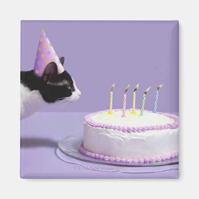 Aimant Chat portant un casquette d'anniversaire soufflant (Devant)