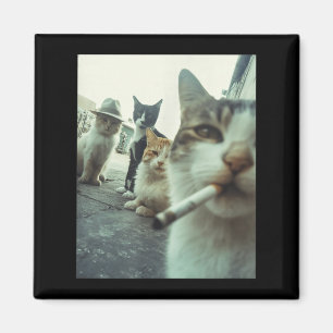 Aimant Chat qui fume Drôle de chats gangsters Mème drôle